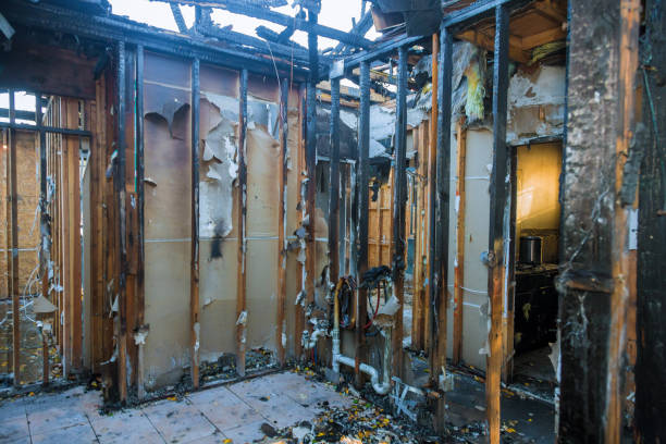 Professional Fire Damage Restoration technician working in Three Lakes, FL